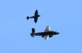 Warbirds2