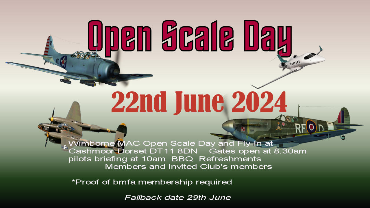 Scale Day Flyer